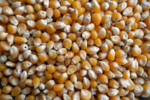 Gros Plan Sur Les Graines Maïs Aliments Ingrédients Fond — Photo
