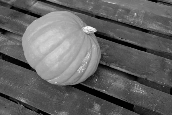 Pumpkin Wooden Background Black White Seasonal Food Ingredients — Foto de Stock