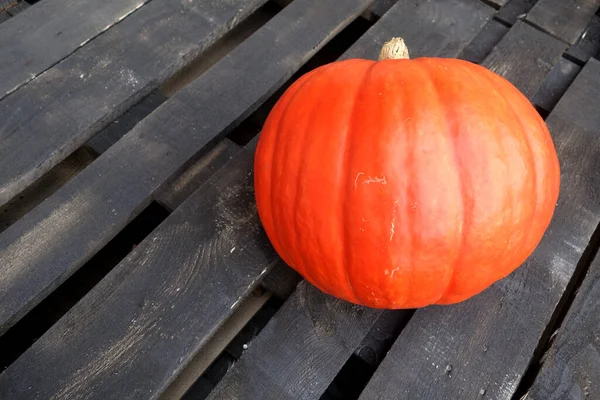 Orange Pumpkin Wooden Background Seasonal Food Ingredients — Foto de Stock