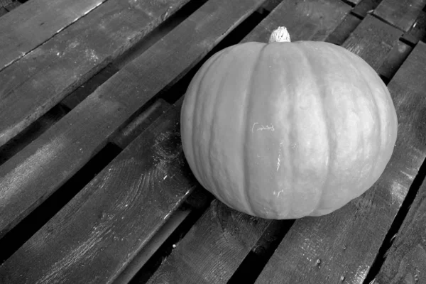 Pumpkin Wooden Background Black White Seasonal Food Ingredients — Stok fotoğraf