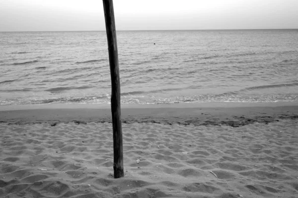 白黒で木製のログと砂浜の海のビーチ 四季の自然背景 — ストック写真
