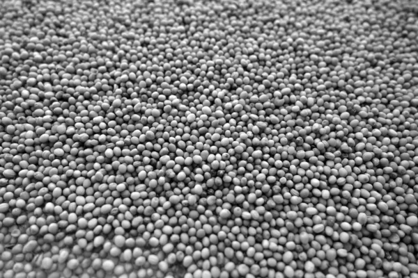 芥末种子特写效果模糊 黑白相间 食品和配料背景 — 图库照片