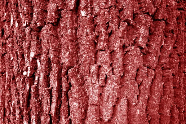 Struttura Della Corteccia Dell Albero Tono Rosso Sfondo Naturale Pattern — Foto Stock