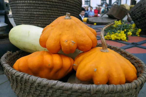 Pumpkungar Tillverkade Korg Säsongsmarknad Scen Och — Stockfoto