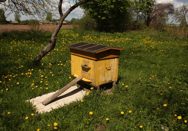 Colmena de abejas en primavera . — Foto de Stock
