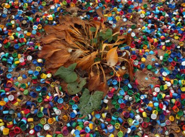 Bitki ve Plastik Pet kapaklar soluk.