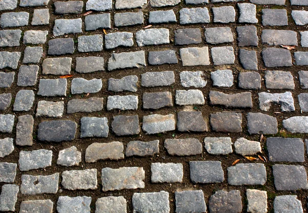 Pavimento antigo com textura de musgo . — Fotografia de Stock