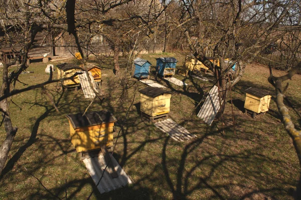 Colmenas de abejas amarillas y azules desde la parte superior . — Foto de Stock