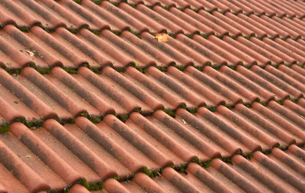 Textura del techo de baldosas viejas . — Foto de Stock