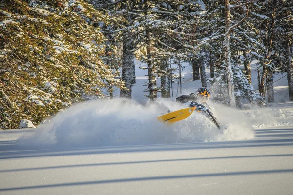 Snowmobile — Φωτογραφία Αρχείου