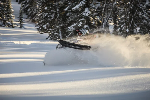 Snowmobile — Φωτογραφία Αρχείου