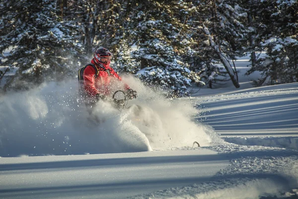 Motos de nieve — Foto de Stock