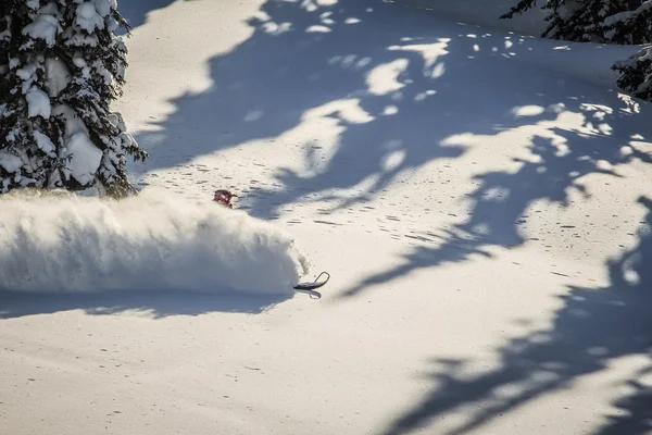 Snowmobile — Φωτογραφία Αρχείου