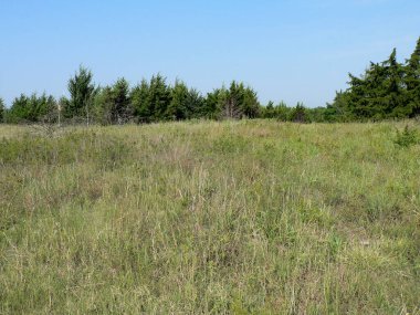 Great Plains Doğa Merkezi, Wichita, Kansas