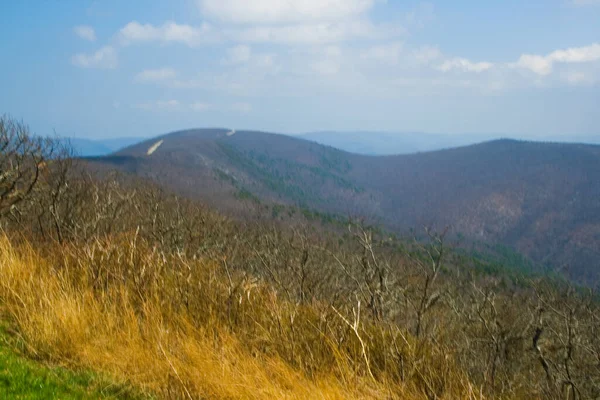 Les Monts Ouachita Dans Oklahoma Vus Promenade Panoramique Talimena — Photo