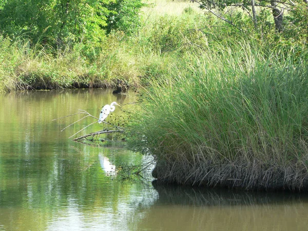 Great Plains Nature Center Wichita Kansas — Stock Photo, Image