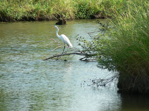 Great Plains Nature Center Wichita Kansas — Stock fotografie