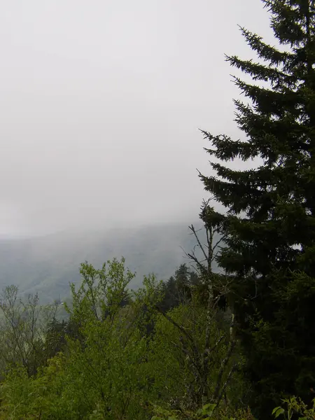 Blauer Kamm Berge Nördlich Carolina — Stockfoto