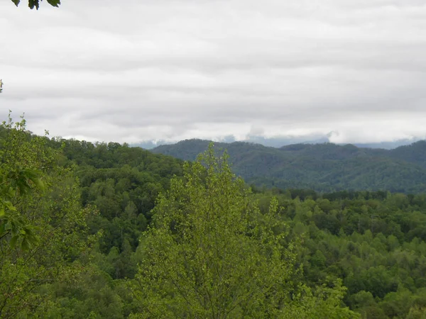 Blue Ridge Bergen North Carolina — Stockfoto