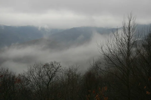 Blue Ridge Mountains North Carolina — Stockfoto