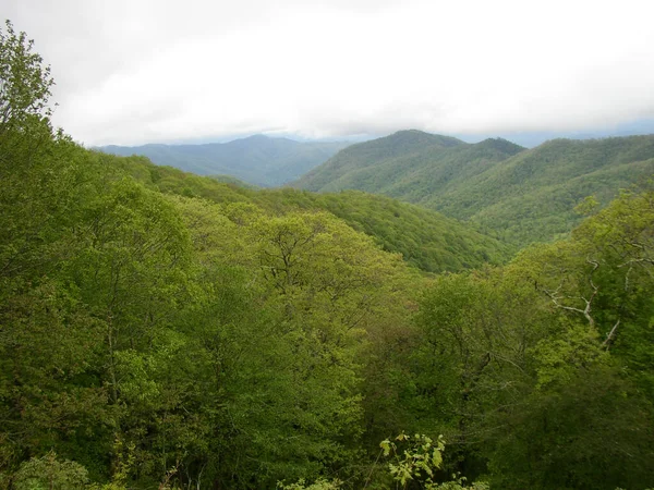 Blauer Kamm Berge Nördlich Carolina — Stockfoto