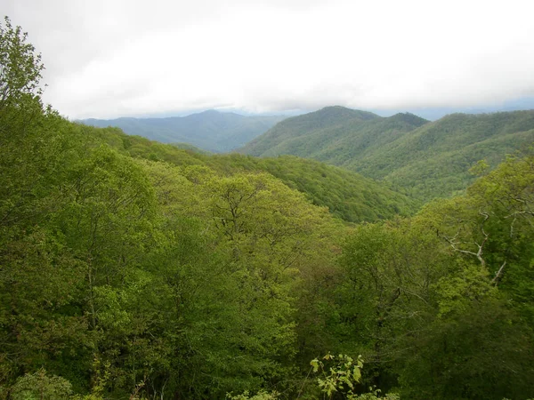 Blue Ridge Bergen North Carolina — Stockfoto