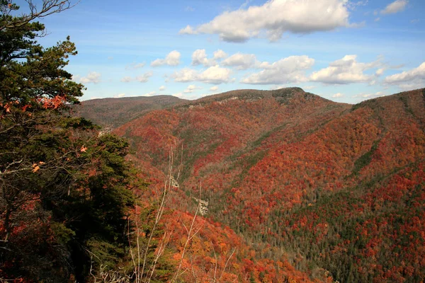 Blue Ridge Mountains Caroline Nord — Photo