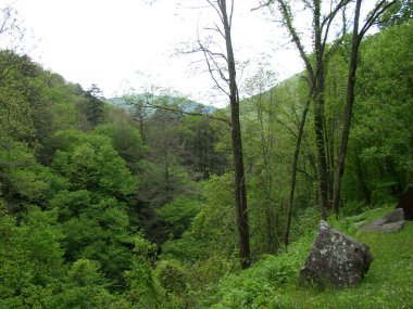 Cades Koyu, Great Smoky Dağları Ulusal Parkı, Tennessee