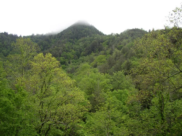 田纳西州大烟山国家公园Cades Cove — 图库照片