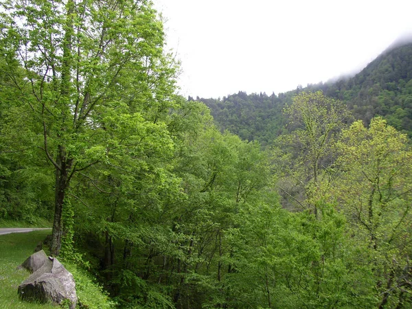 Park Narodowy Great Smoky Mountains Tennessee — Zdjęcie stockowe