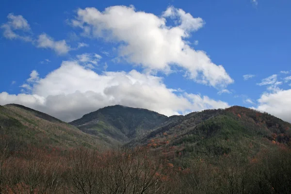 Great Smoky Mountains National Park Tennessee — Stock Photo, Image