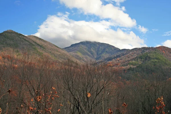 Parc National Des Great Smoky Mountains Tennessee — Photo