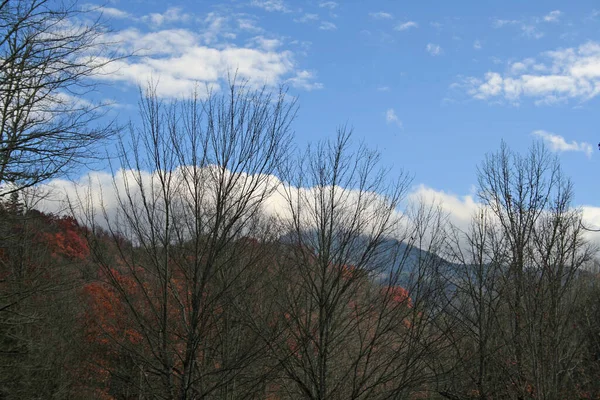 Great Smoky Mountains National Park Tennessee — Stockfoto