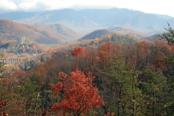 Great Smoky Mountains National Park Tennessee — Stockfoto