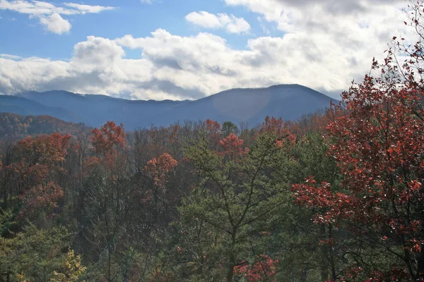 Grande Parque Nacional Das Montanhas Smoky Tennessee — Fotografia de Stock