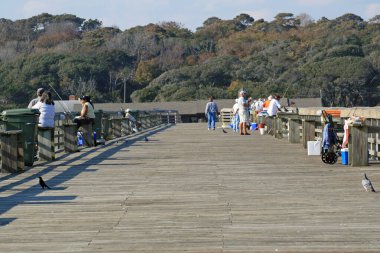 Myrtle Sahili Eyalet Parkı, Güney Carolina