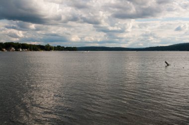 Finger Lakes Bölgesi, New York