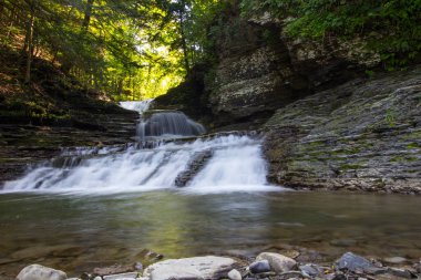 Robert E. Treman Eyalet Parkı, New York