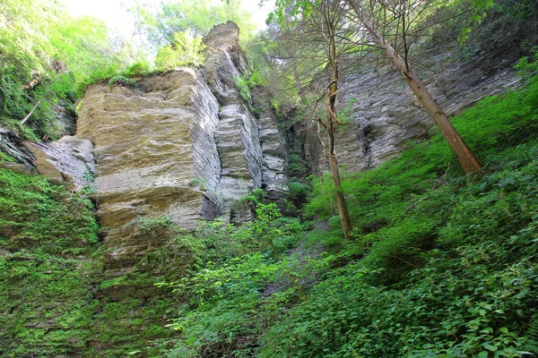 Park Havana Glen Montour Falls Nowy Jork — Zdjęcie stockowe