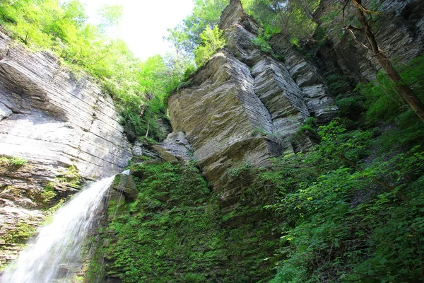 Havana Glen Park Montour Falls New York — Foto Stock