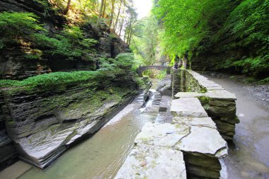 Robert E. Treman Eyalet Parkı, New York