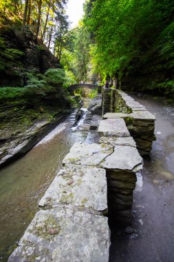 Robert E. Treman Eyalet Parkı, New York