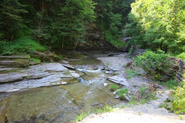 Robert E. Treman Eyalet Parkı, New York