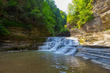Robert E. Treman Eyalet Parkı, New York