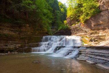Robert E. Treman Eyalet Parkı, New York