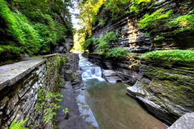 Robert E. Treman Eyalet Parkı, New York