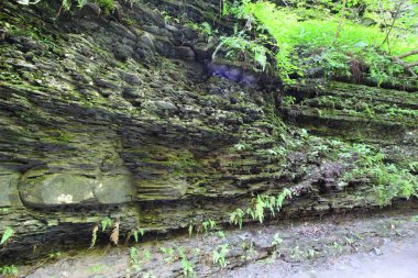 Robert E. Treman Eyalet Parkı, New York