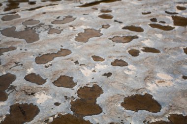 Taughannock Falls Eyalet Parkı, New York