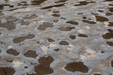 Taughannock Falls Eyalet Parkı, New York