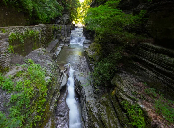 Robert Treman Eyalet Parkı New York — Stok fotoğraf